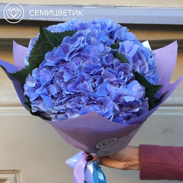Букет из 3 синих гортензий