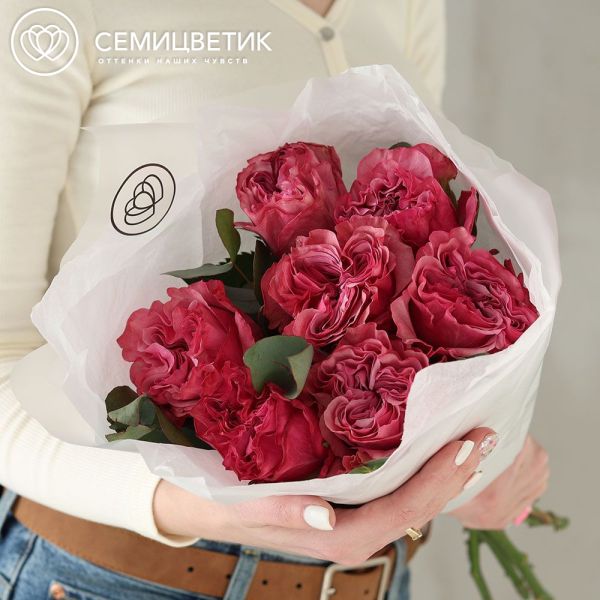 Букет из 7 пионовидных малиновых роз Country Blues (Эквадор) 50 см с эвкалиптом