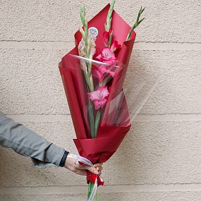 Букет из 3 гладиолусов микс