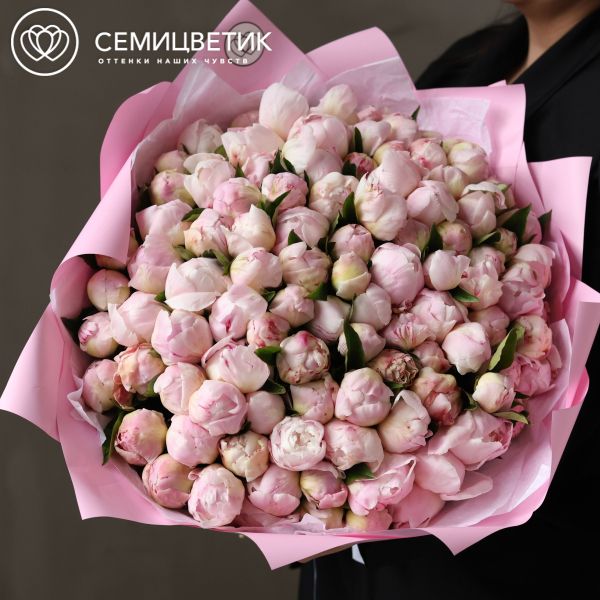 Букет из 101 нежно-розового пиона Gardenia Premium