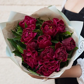 Букет из 11 бордовых пионов Standart Plus в зеленой пленке