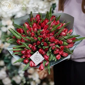 Букет из 101 малинового тюльпана в зеленой пленке