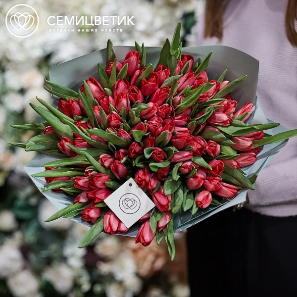 Букет из 101 малинового тюльпана в зеленой пленке