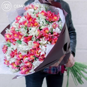 Букет из 51 альстромерии в белых и розовых тонах в бордовой пленке