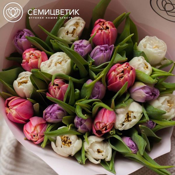 Букет из 25 пионовидных тюльпанов нежный микс в кремовой пленке