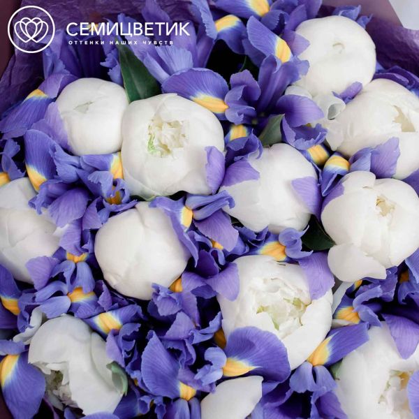 Букет из 15 белых пионов Premium и 26 синих ирисов
