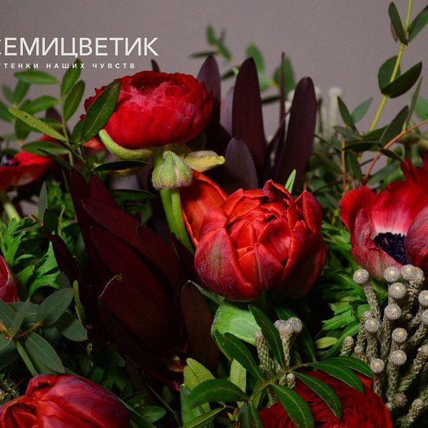 Букет из анемонов, тюльпанов и леукодендрона в упаковке