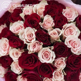 Букет из 51 красной и нежно-розовой розы 30 см (Кения) в розовой пленке