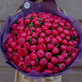 Букет из 101 кораллового пиона Coral Sunset Standart в сиреневой пленке