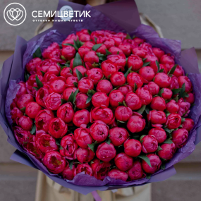 Букет из 101 кораллового пиона Coral Sunset Standart в сиреневой пленке