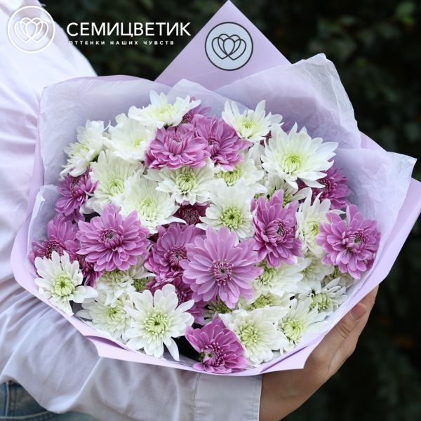 Букет из 11 белых и розовых кустовых хризантем