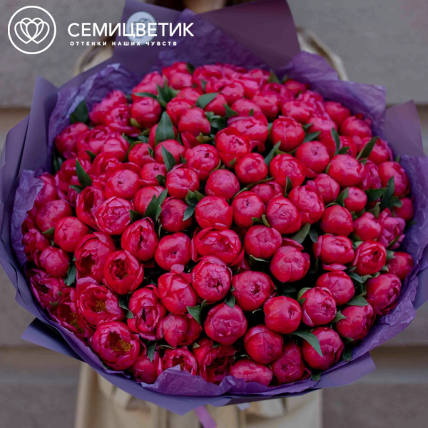 Букет из 101 кораллового пиона Coral Sunset Standart в сиреневой пленке