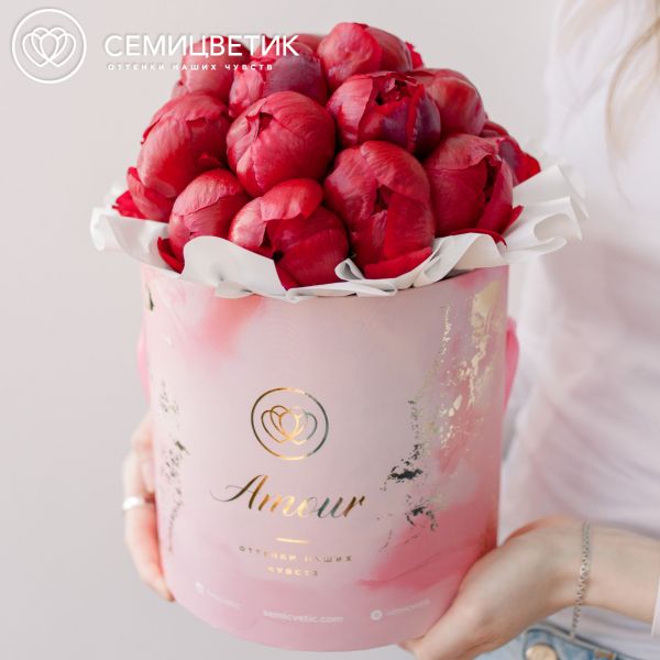 Букет в розовой шляпной коробке Amour Mini из 21 бордового пиона Standart Plus