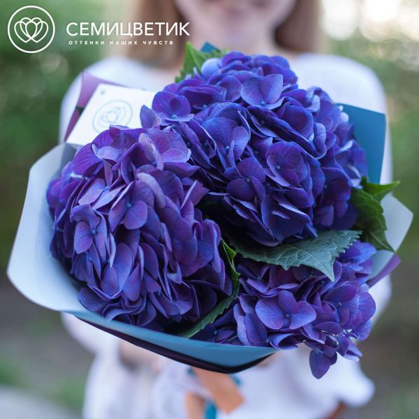 Букет из 3 сине-фиолетовых гортензий