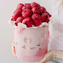 Букет в розовой шляпной коробке Amour Mini из 21 бордового пиона Standart Plus