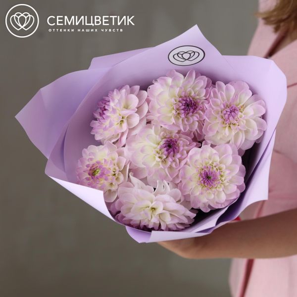 Букет из 7 светло-сиреневых георгинов