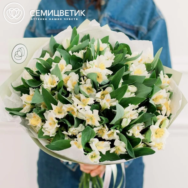Букет из 23 белых альстромерий в зеленой пленке