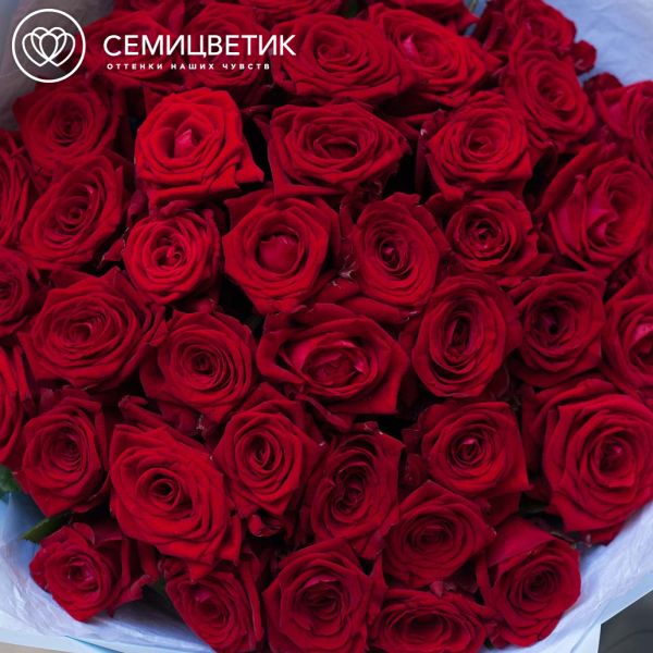 Букет из 45 красных роз 35-40 см (Россия) в голубой пленке