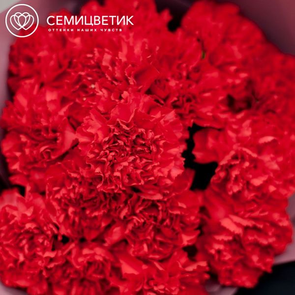 Букет из 15 красных гвоздик