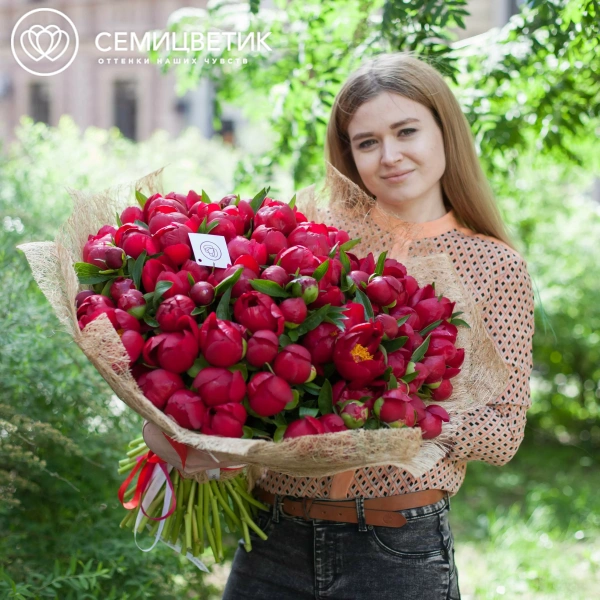 Букет из 101 бордового пиона Premium в упаковке