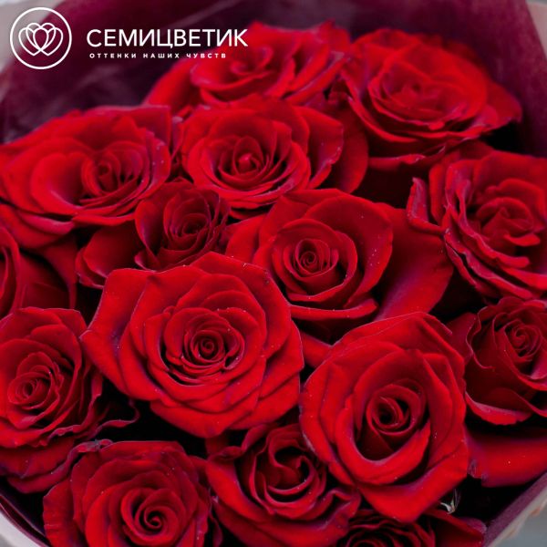 Букет из 15 красных с темной каймой роз Магия 35-40 см (Россия)