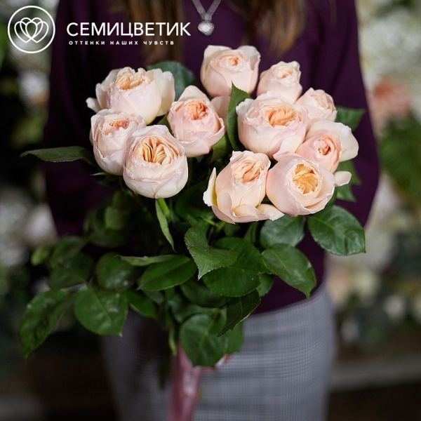 Букет из 11 персиковых пионовидных роз Juliet 50 см (Эквадор)