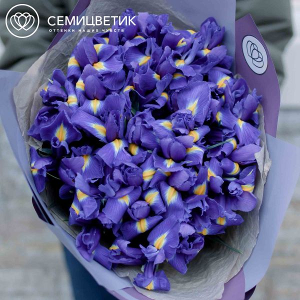 Букет из 35 синих ирисов