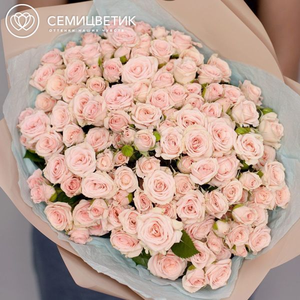 Букет из 35 нежно-розовых кустовых роз 40 см (Кения)