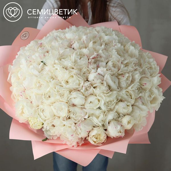 Букет из 101 белого пиона Kelway`s Glorious Premium