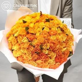 Букет из 151 оранжевой и жёлтой розы 35-40 см (Россия) в белой пленке