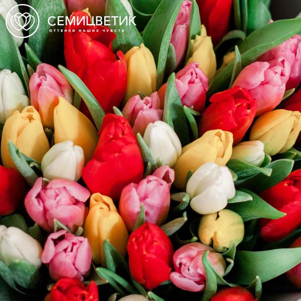Букет из 51 тюльпана микс в сиреневой пленке
