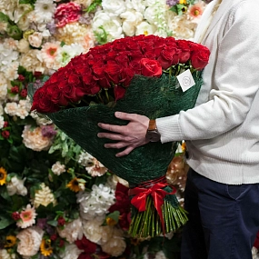 Букет из 151 красной розы Freedom 60 см (Эквадор) в упаковке