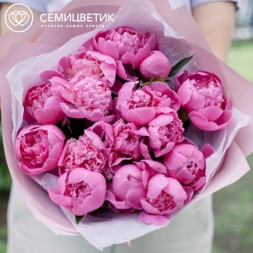 Букет из 15 ярко-розовых пионов Standart в розовой пленке