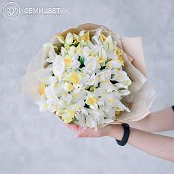 Букет из 25 желтых и белых ирисов
