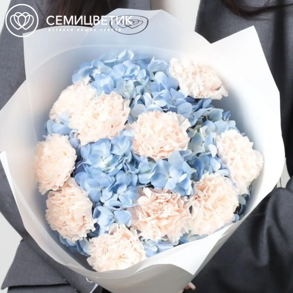 Букет из 3 голубых гортензий и 10 кремовых гвоздик в белой пленке