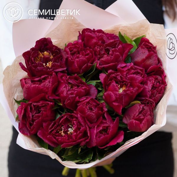 Букет из 15 бордовых пионов Standart Plus