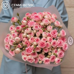 Букет из 15 кустовых пионовидных розовых роз 60 см (Россия) в прозрачной пленке