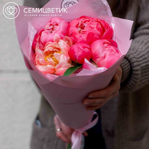 Букет из 5 коралловых пионов Coral Sunset Premium