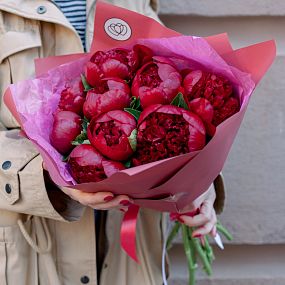 Маленький букет  из 9 бордовых пионов Premium