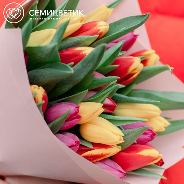 Букет из 25 тюльпанов микс в кремовой пленке