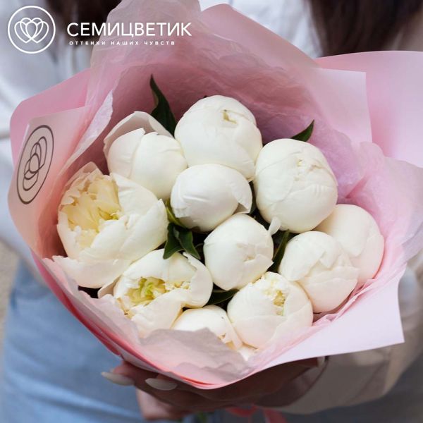 Букет из 11 белых пионов Standart Plus в розовой пленке