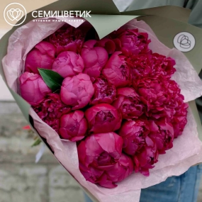 Букет из 25 ярко-розовых пионов Standart Plus в зеленой пленке