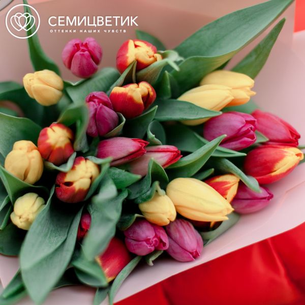 Букет из 25 тюльпанов микс в кремовой пленке
