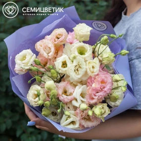 Букет из 15 махровых кремовых и розовых лизиантусов в сиреневой пленке
