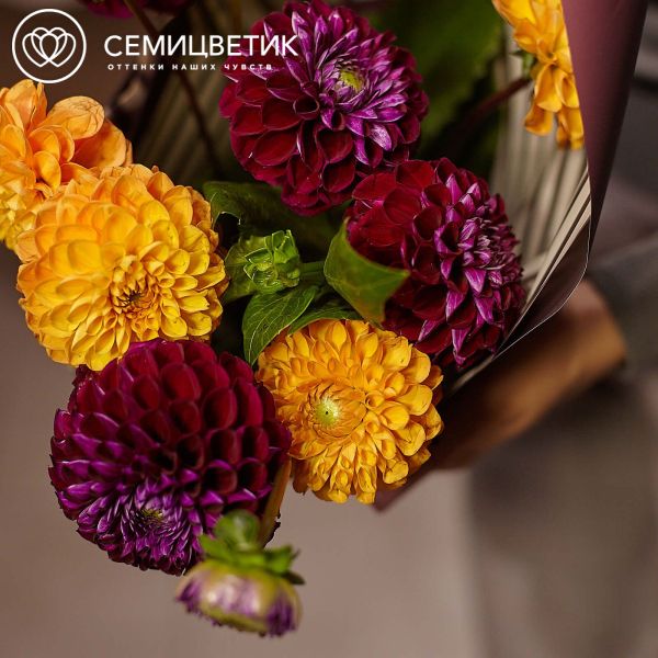 Букет из 9 георгинов
