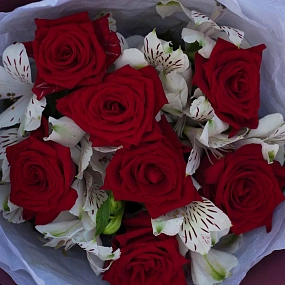 Букет из 7 красных роз 35-40 см (Россия) и 4 белых альстромерий в бордовой пленке
