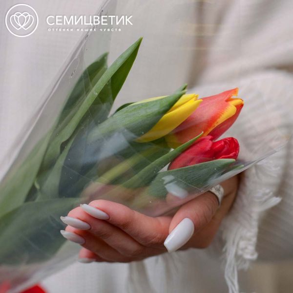 Букет из 3 тюльпанов микс 40 см в пленке
