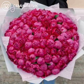 Букет из 101 ярко-розового пиона Standart Plus в голубой пленке