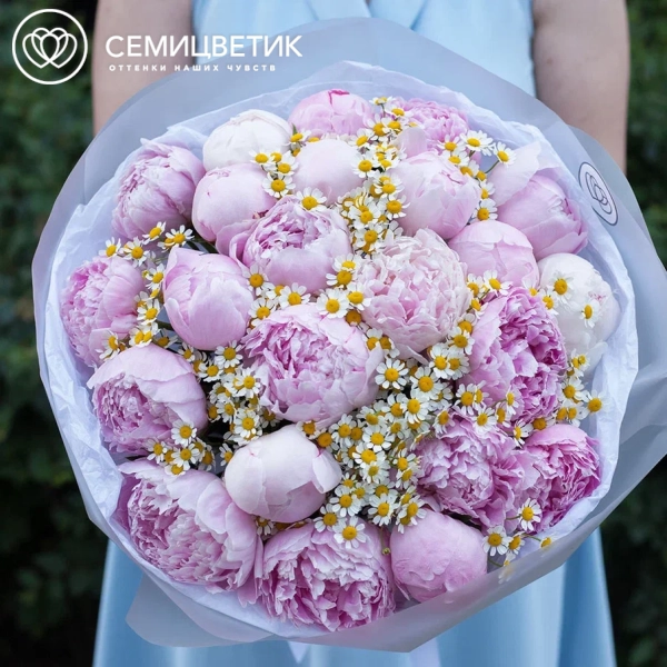 Букет из розовых пионов Premium и матрикарии в прозрачной пленке