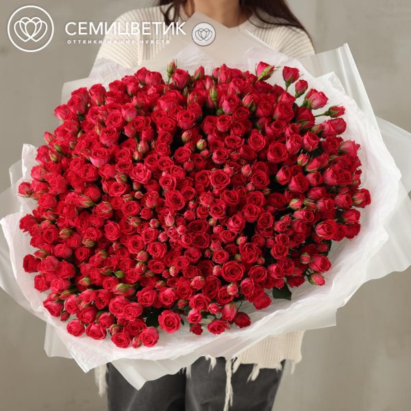 Букет из 101 малиновой кустовой розы 40-50 см (Россия)